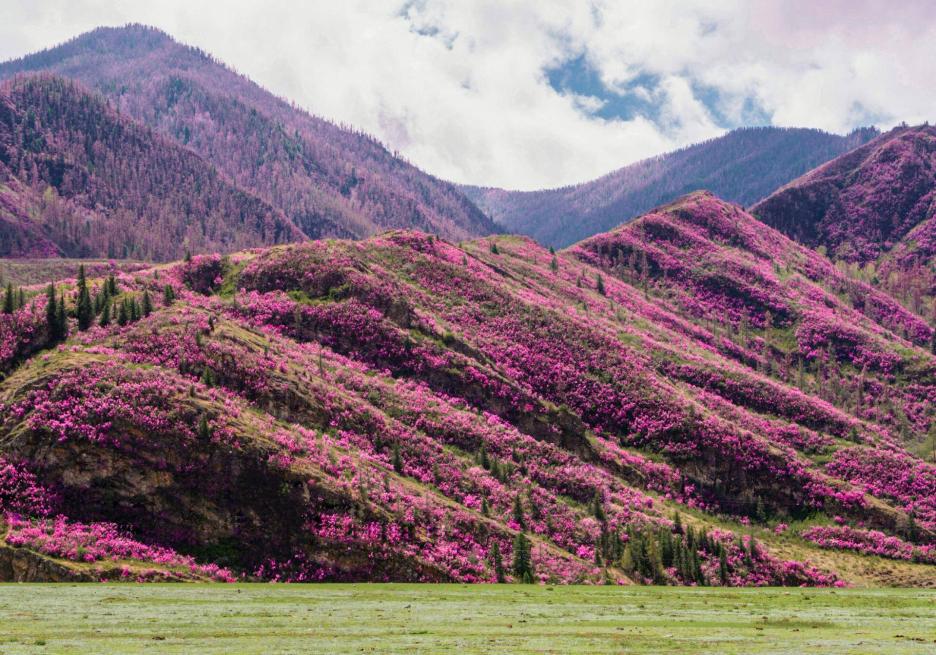 фото img_68e1547a009b6.jpg