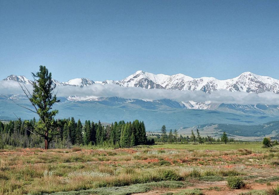 фото img_68e155706c352.jpg