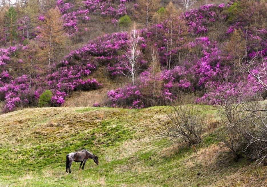 фото img_68e15575cbe6a.jpg