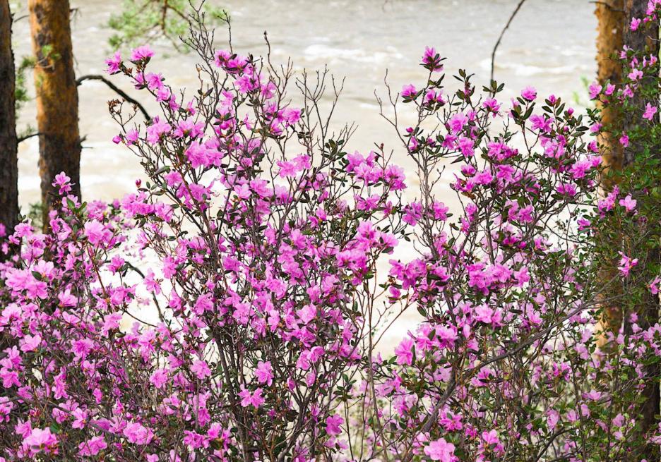 фото img_68e156141fafd.jpg