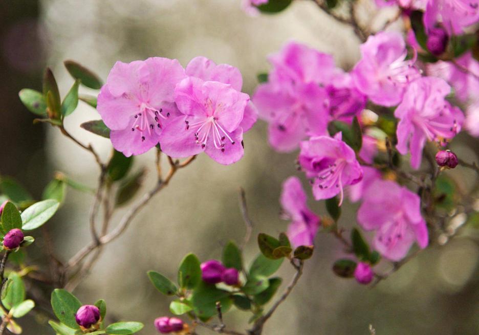 фото img_68e15616eddfa.jpg