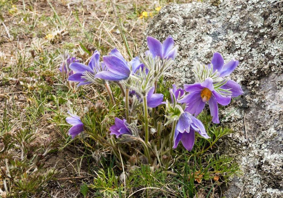 фото img_68e156184cfd0.jpg