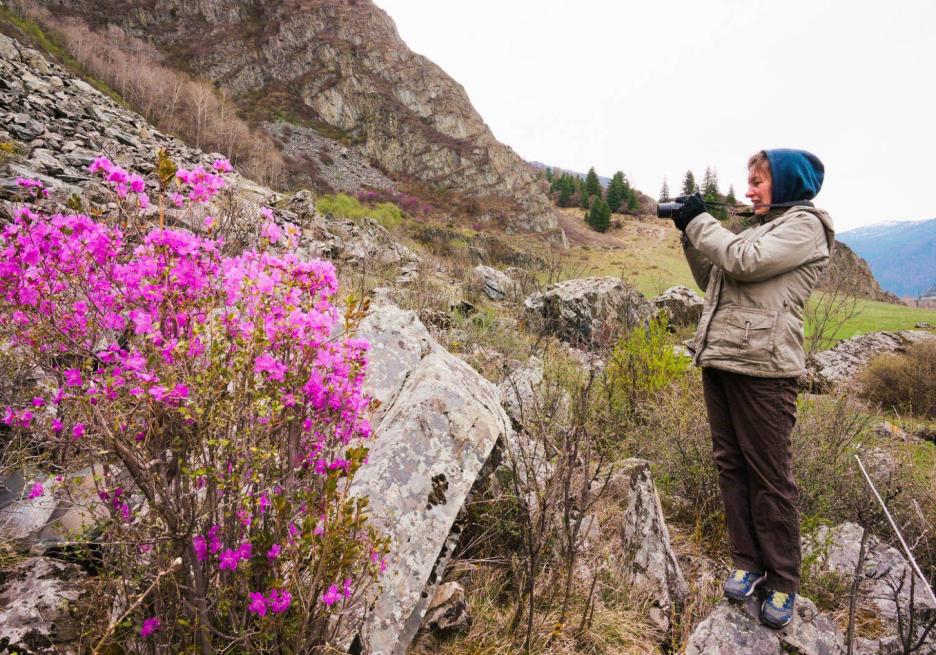 фото img_68e1561b33eaa.jpg