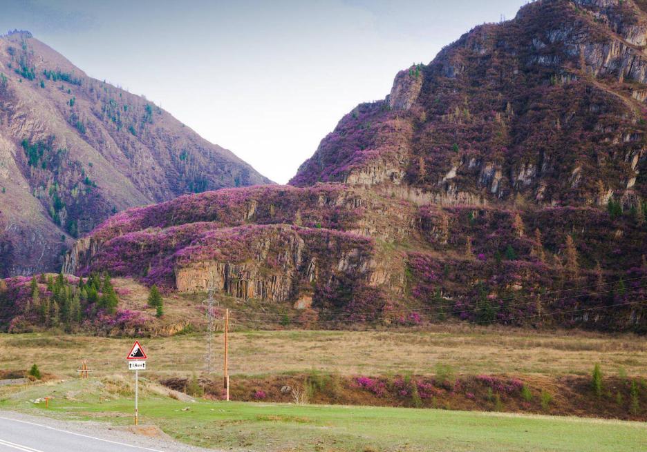 фото img_68e1561c9aec9.jpg