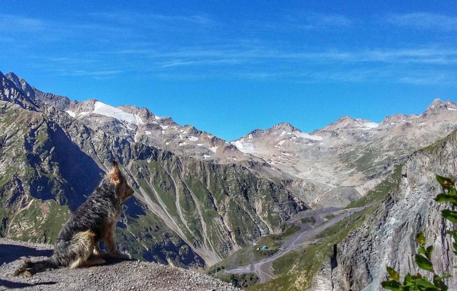 фото img_68a2beed199c9.jpg