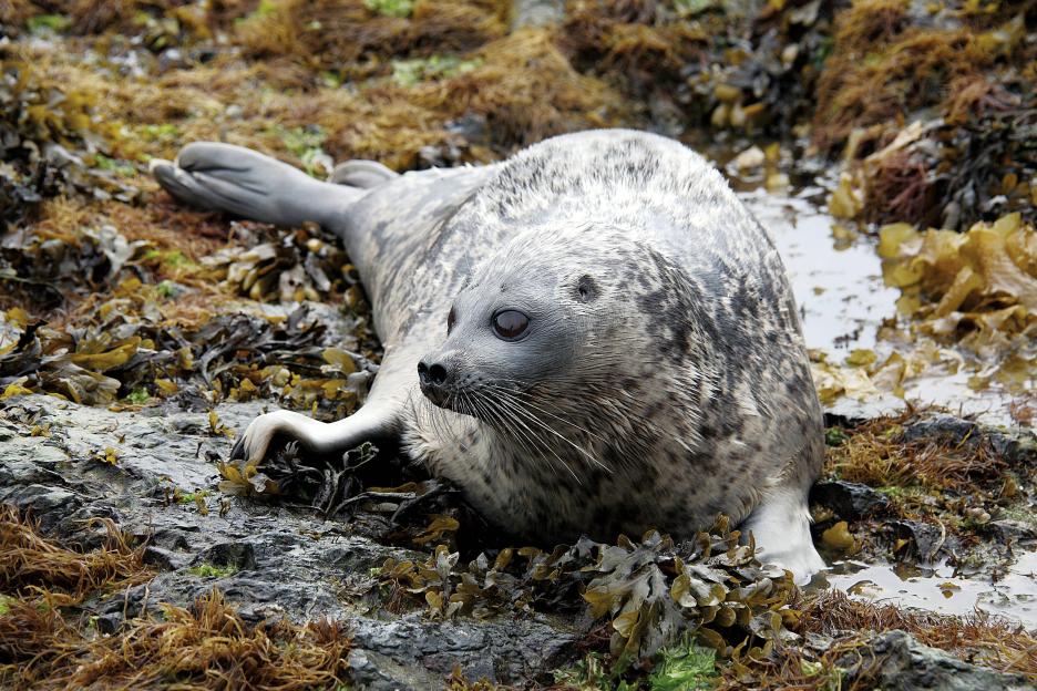 фото img_6900a8498c552.jpg