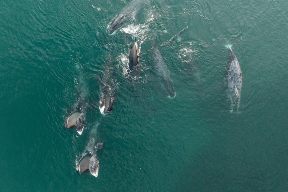 фото img_6900a85002955.jpg