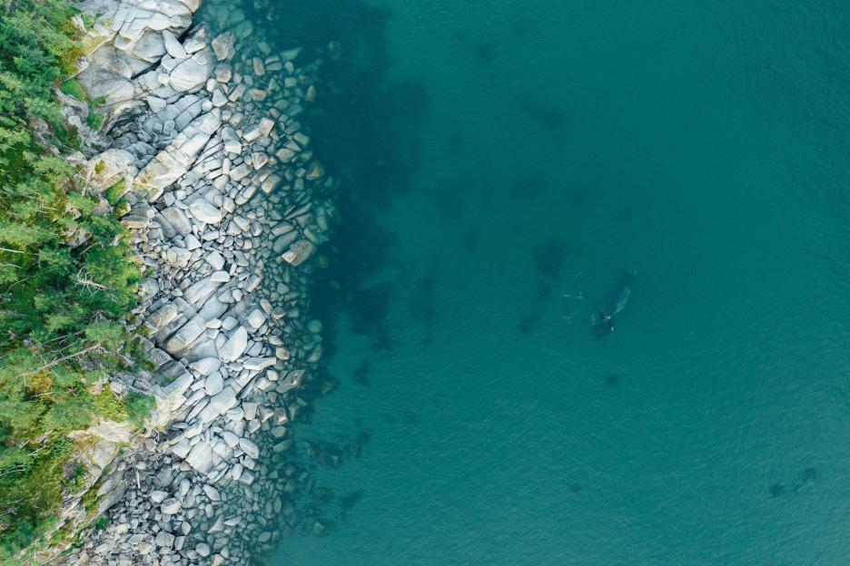 фото img_6900a85952ff1.jpg