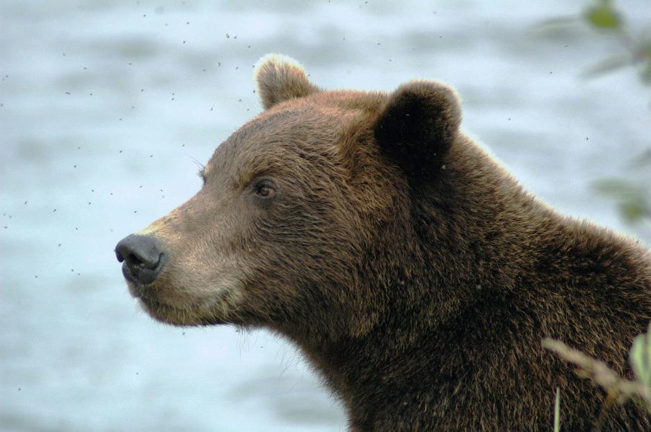 фото img_6900a89af30ec.jpg