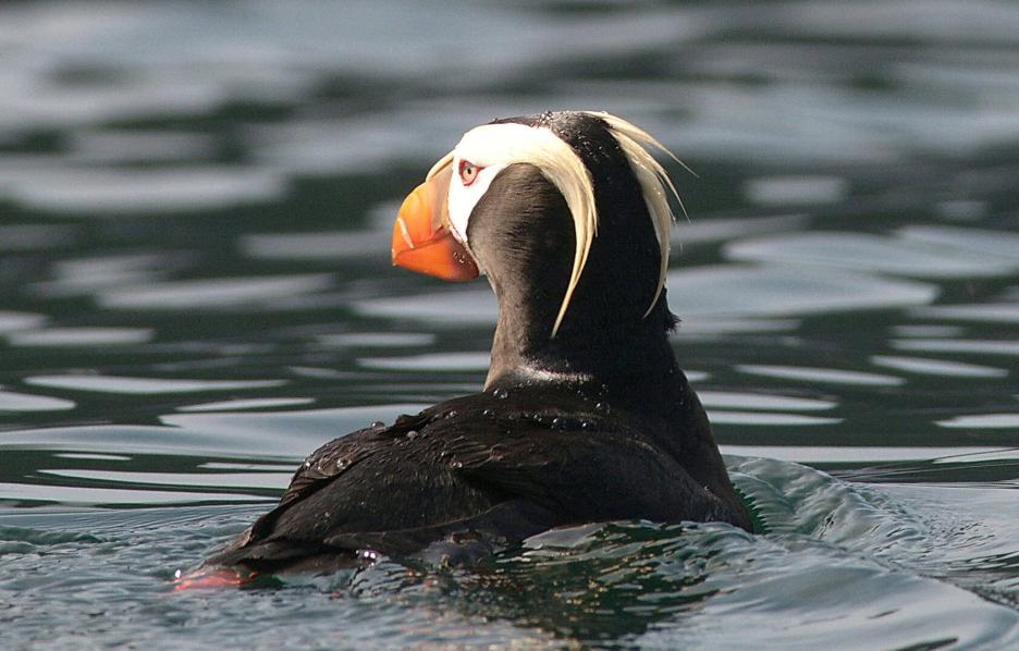 фото img_6900a89dc98ba.jpg