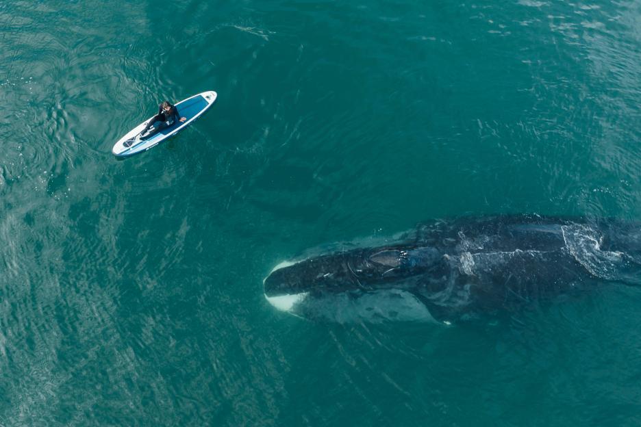 фото img_6900a8bb38ded.jpg