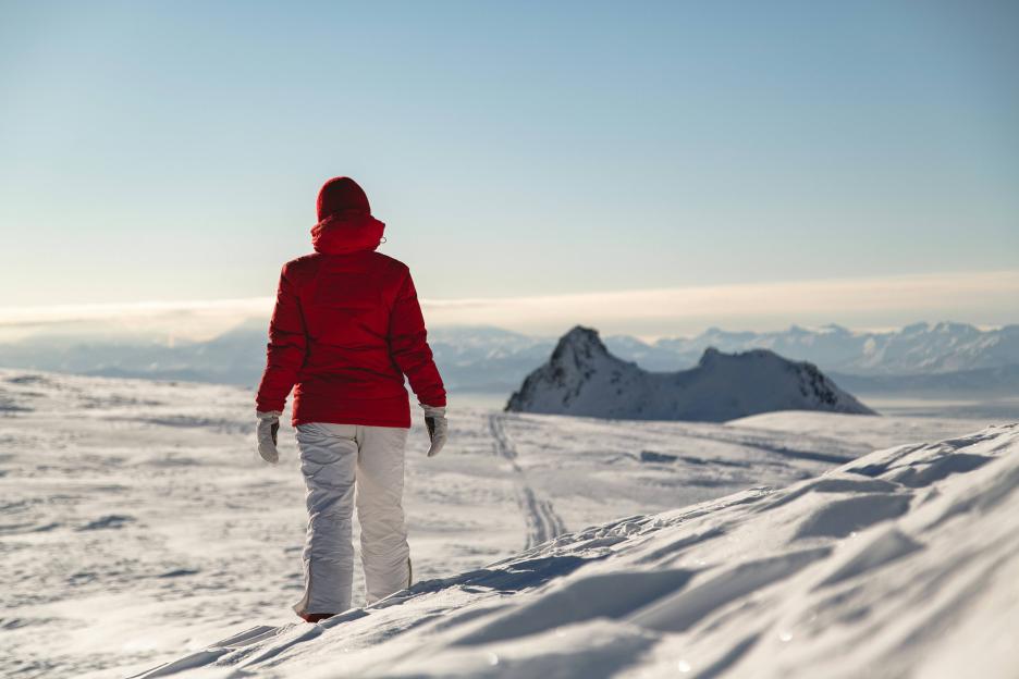 фото img_6901e0ba0b620.jpg