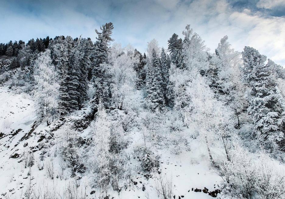 фото img_6911b1cf81ab5.jpg