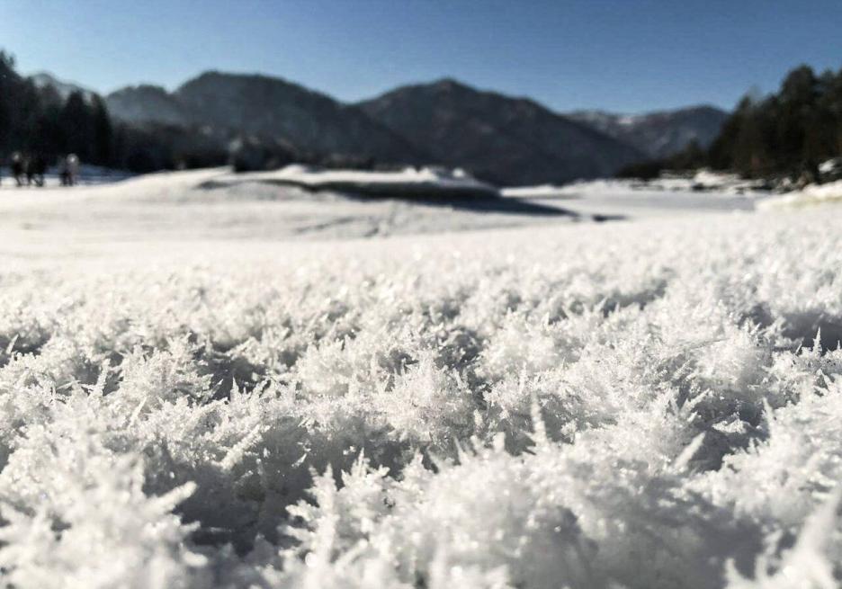 фото img_6911b2299ebd6.jpg