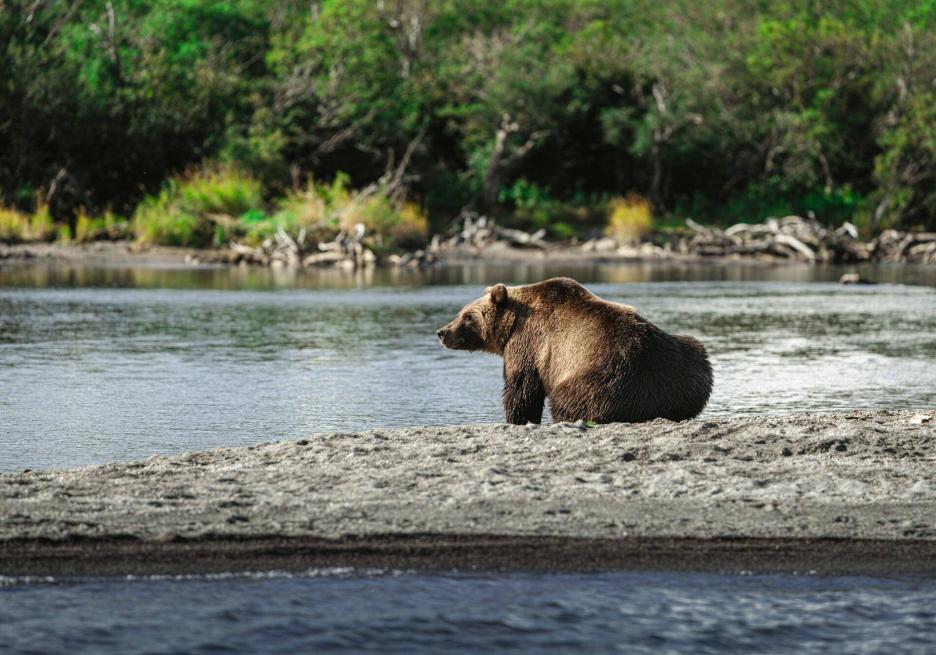 фото img_69147a0a8ea11.jpg