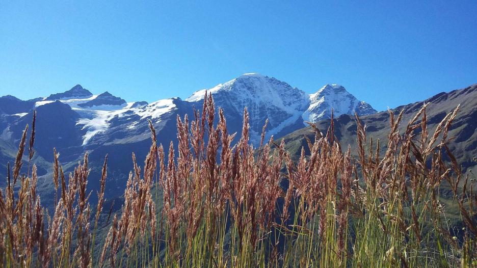 фото img_68a2c0b01363a.jpg