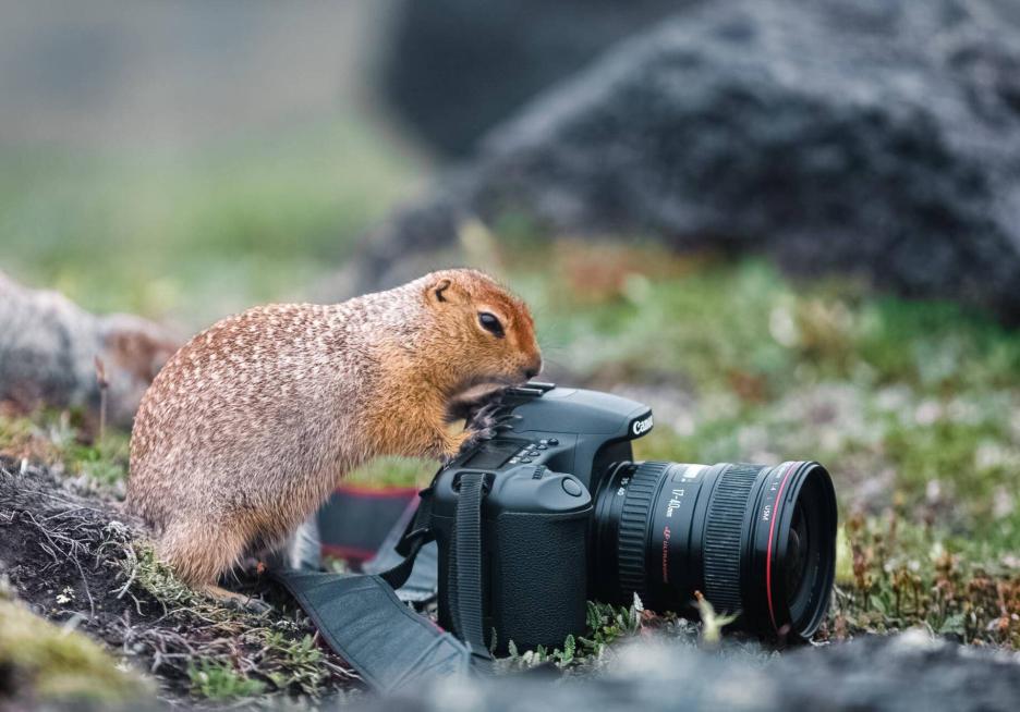 фото img_69147a880f913.jpg