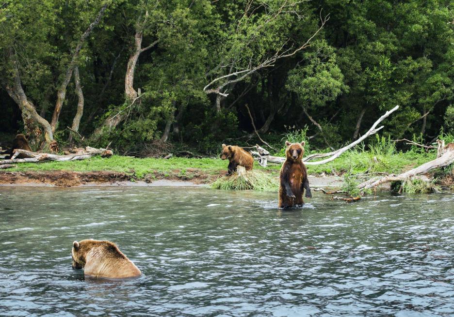 фото img_69147a8979a39.jpg