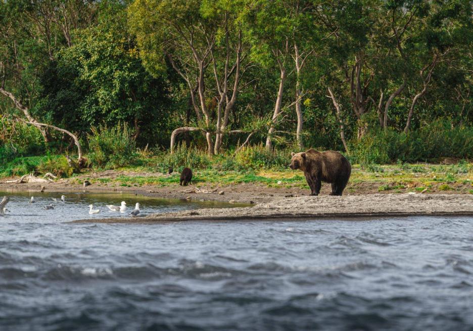 фото img_69147a90961ed.jpg