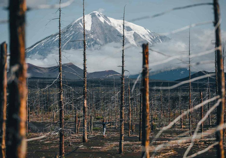 фото img_6915cac34a89b.jpg