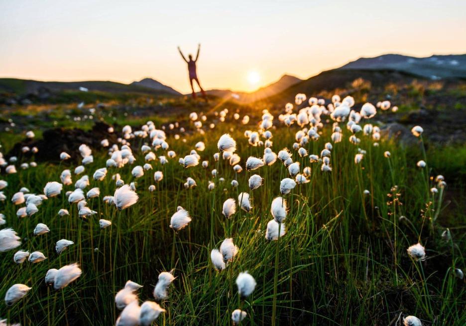 фото img_6915cb06752d5.jpg