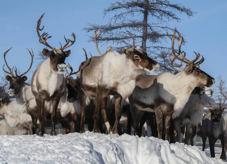 фото img_691b2762ca439.jpg