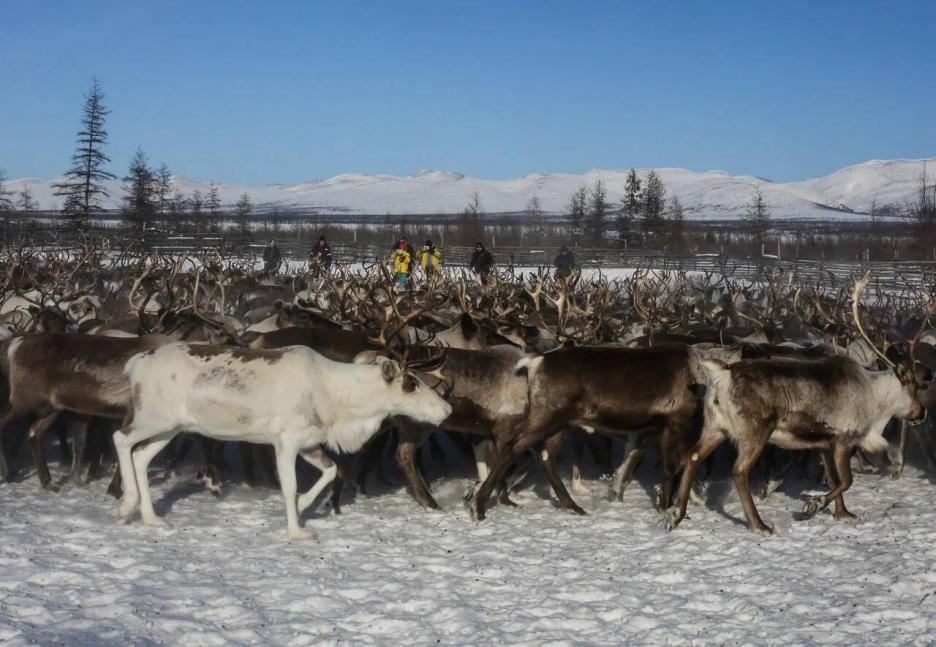 фото img_691b2825b3289.jpg