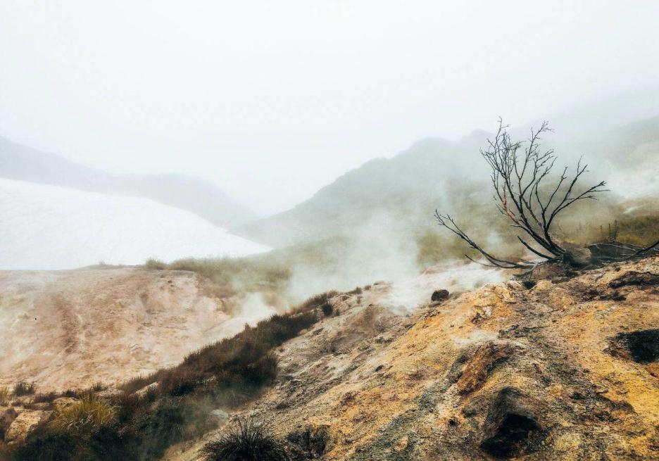 фото img_691d8ef44d065.jpg