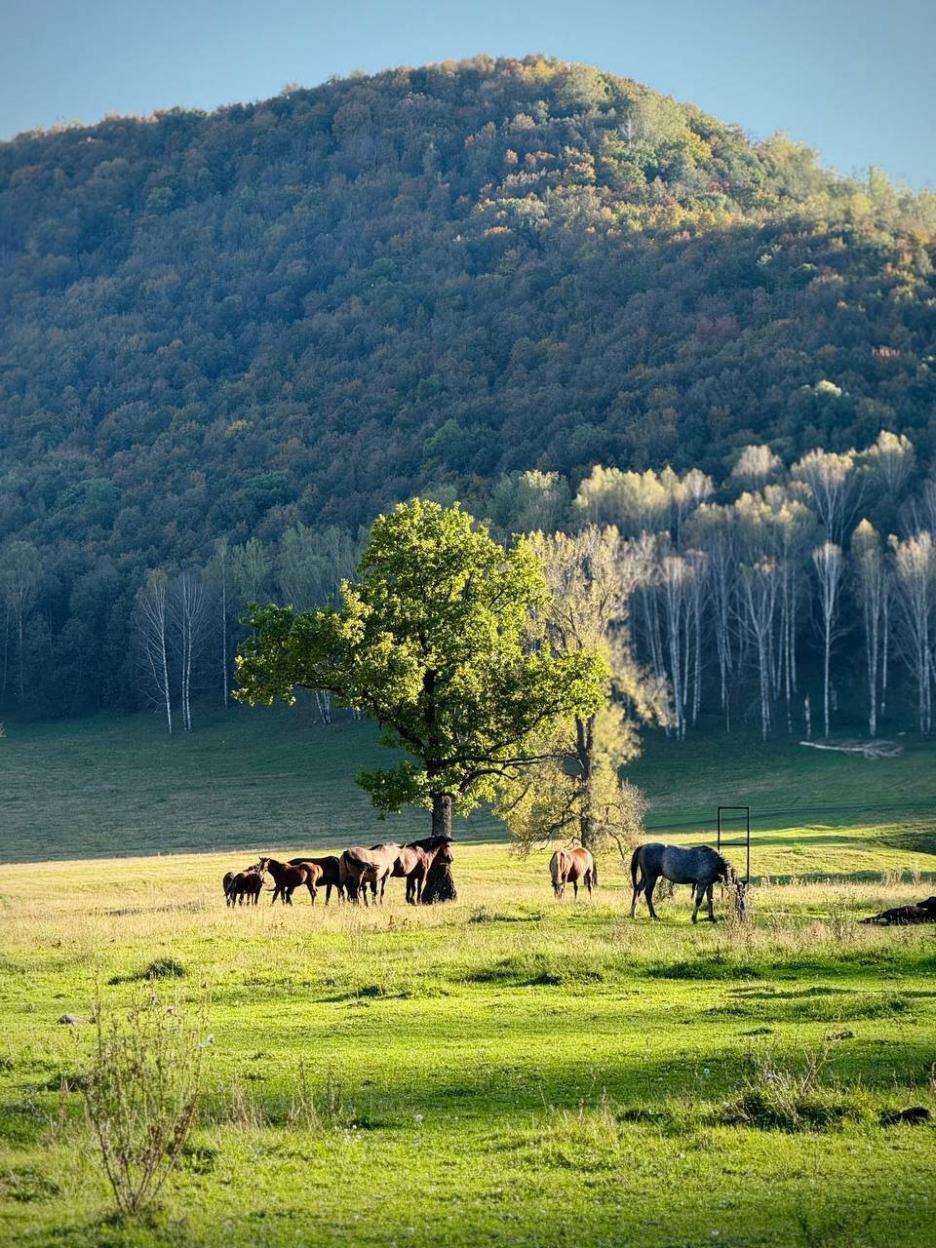 фото img_69256aeb196bb.jpg