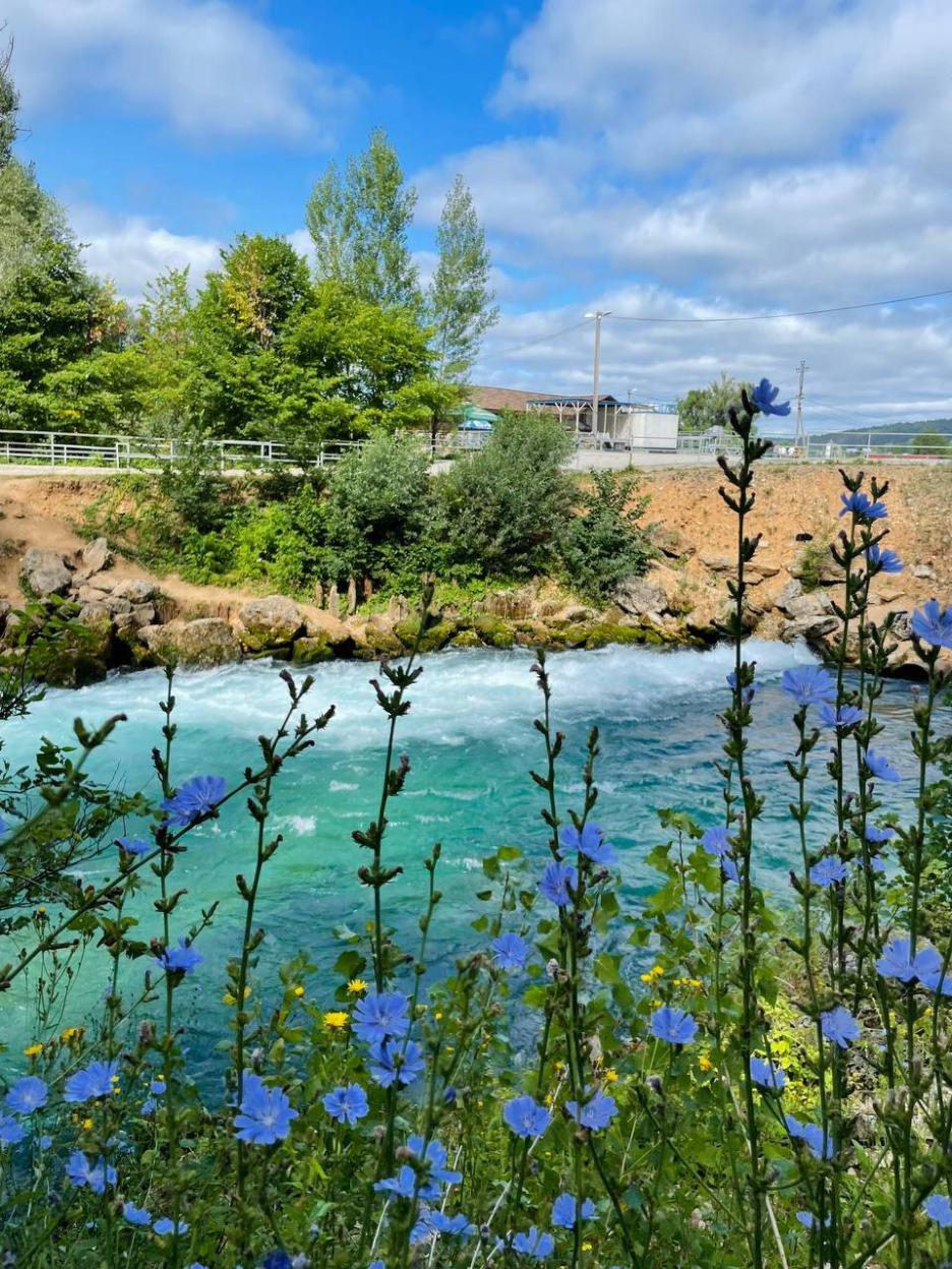 фото img_69256aed9737d.jpg