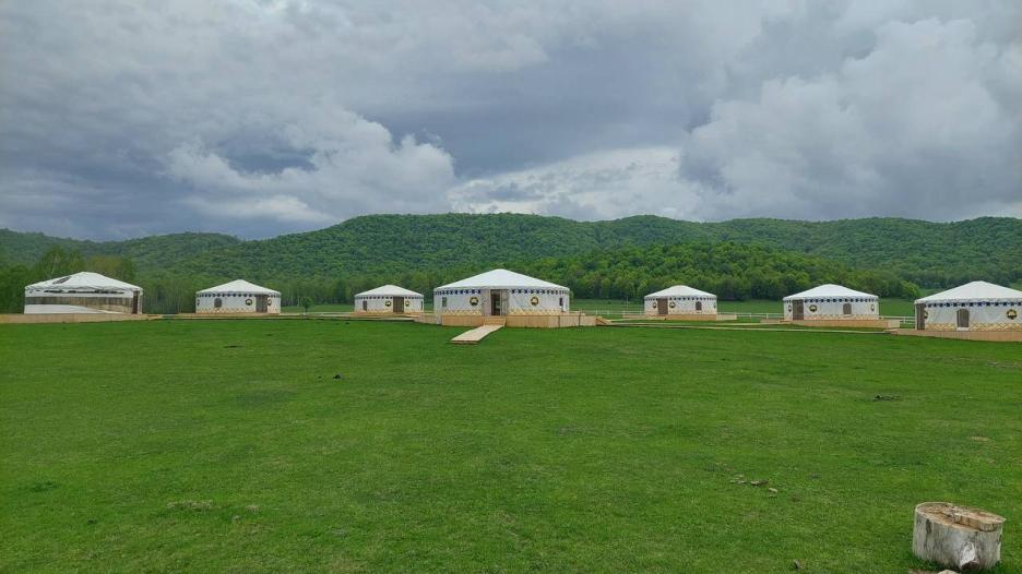 фото img_69256b03ae0c8.jpg