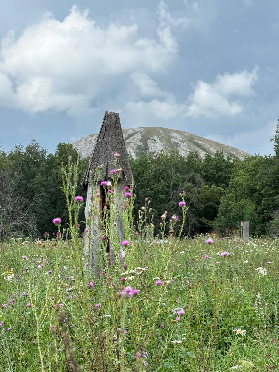 фото img_69256b0895fd0.jpg