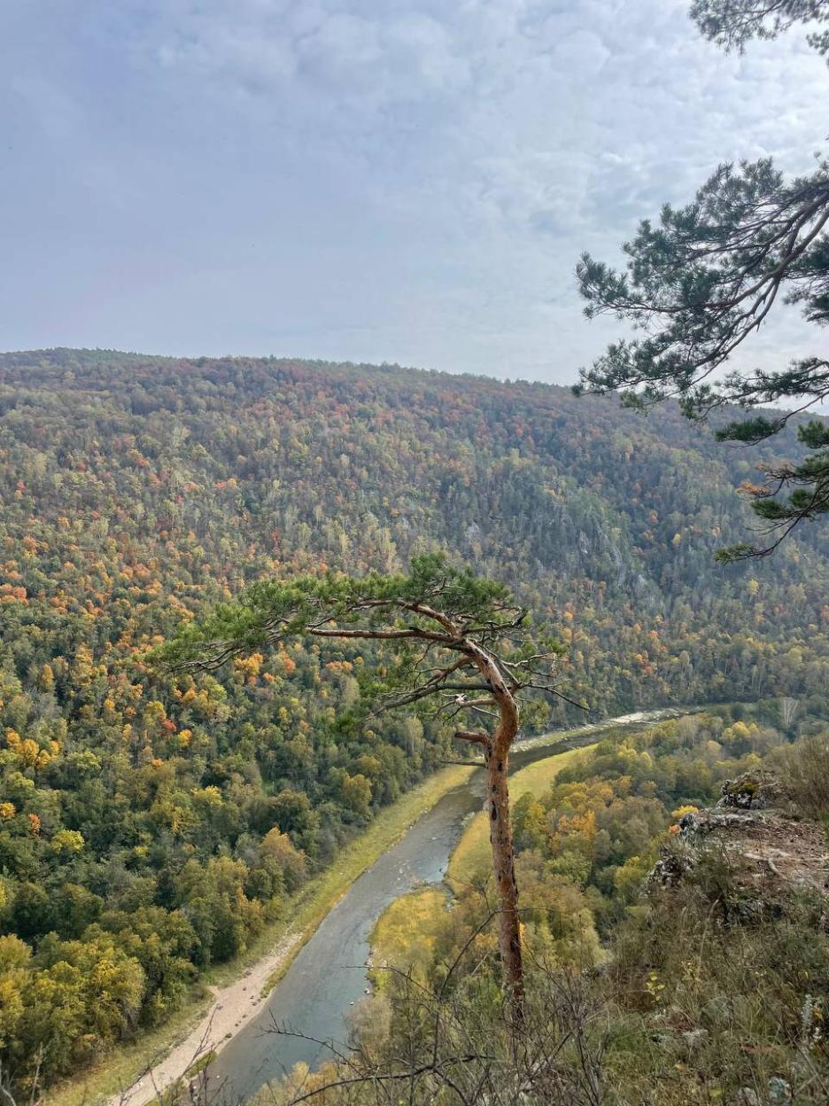 фото img_69256b0eab2e4.jpg