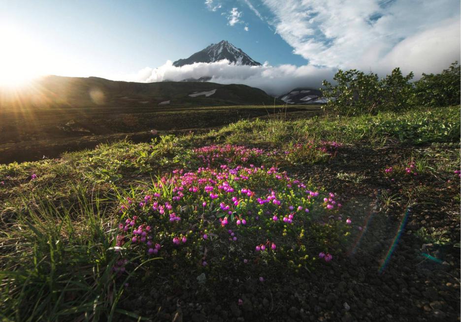 фото img_6926bcb10f843.jpg