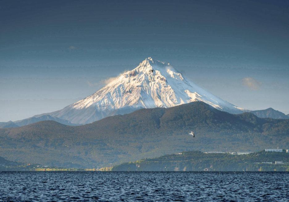 фото img_6926bcb68bbb2.jpg