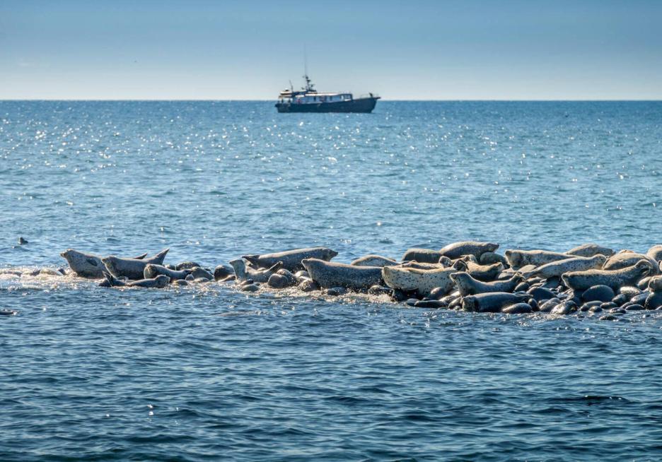 фото img_6926bcb7da44f.jpg