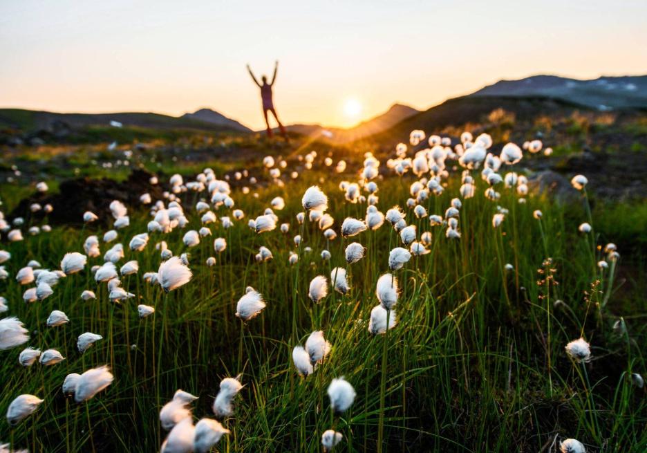 фото img_6926bd2c3e6e0.jpg