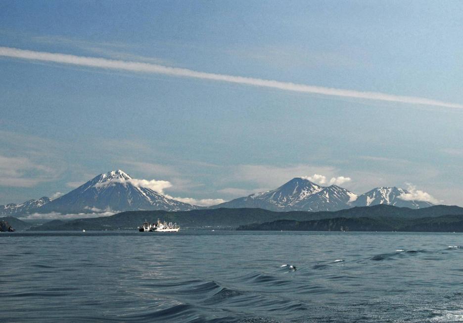 фото img_6926bd318cd0b.jpg