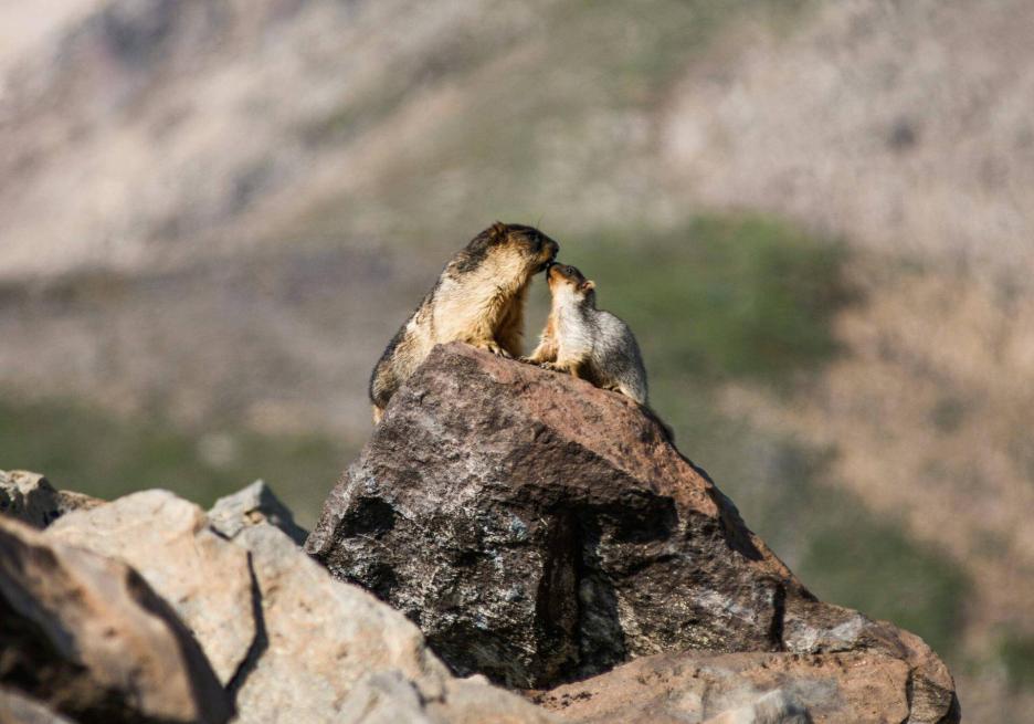 фото img_6926bd7101c60.jpg