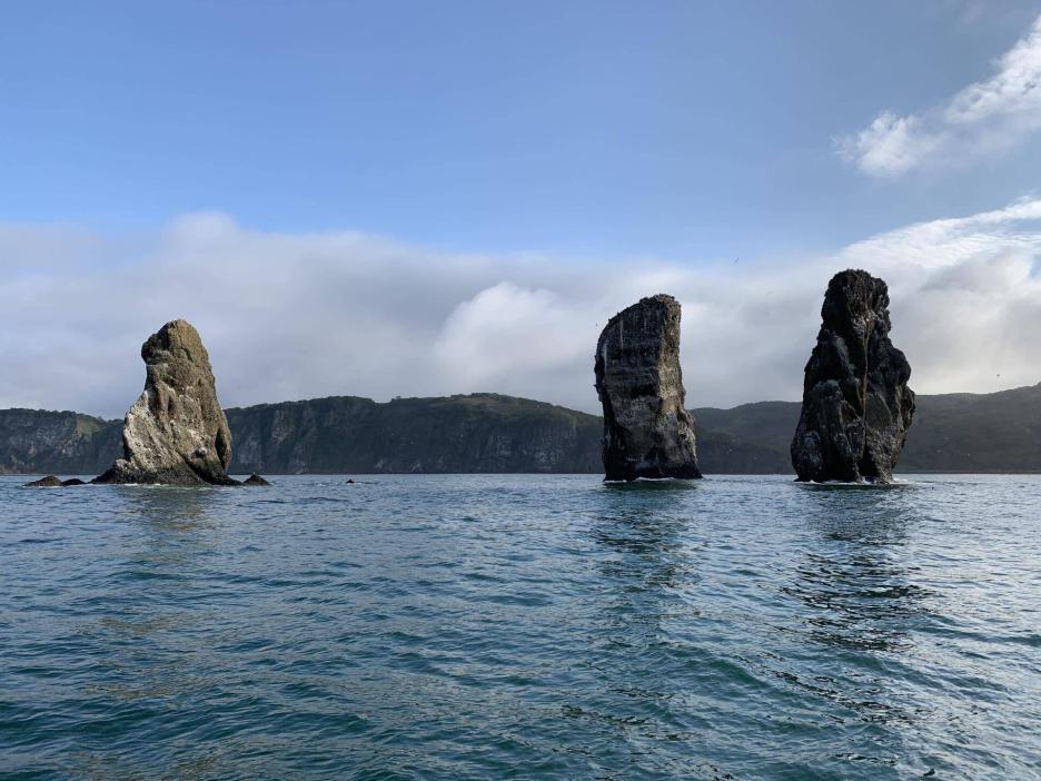 фото img_6926d4419a865.jpg