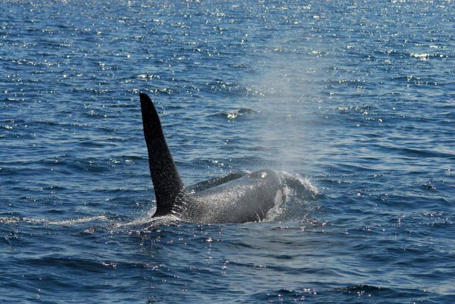 фото img_6926d44307aeb.jpg