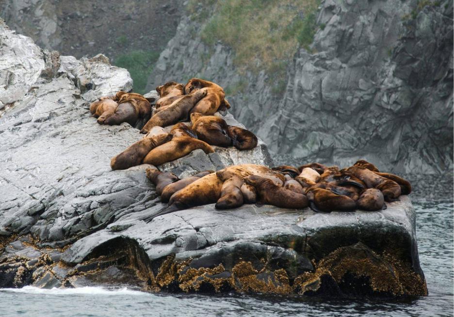 фото img_6926d44587c15.jpg