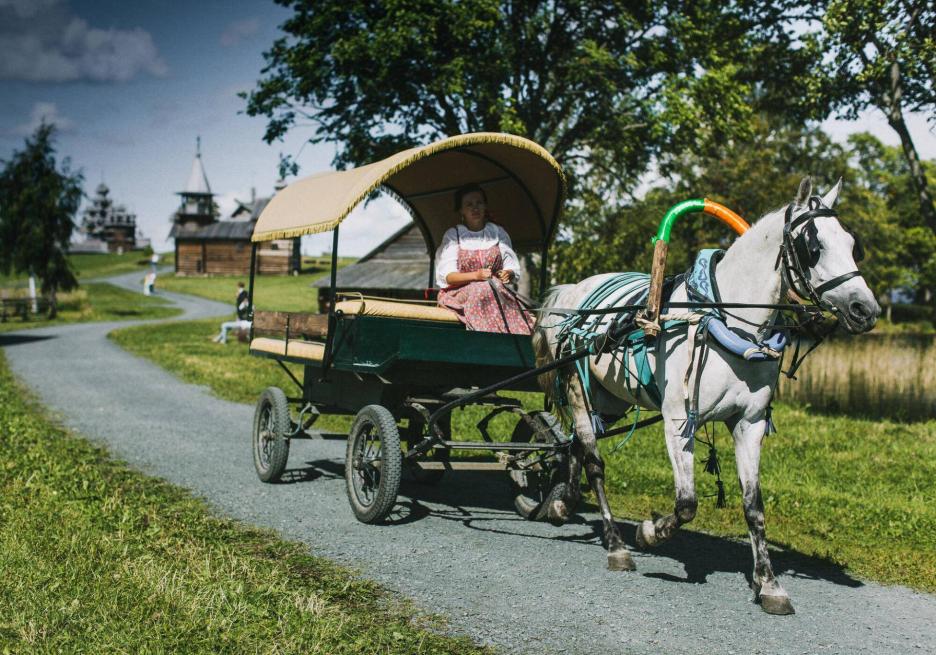 фото img_692db8d3b115b.jpg