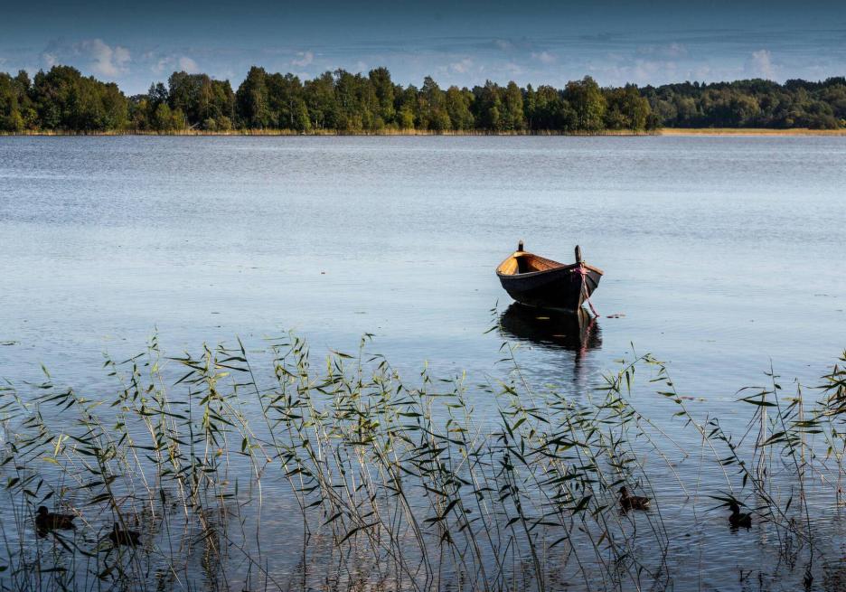 фото img_692db8d50f2e2.jpg