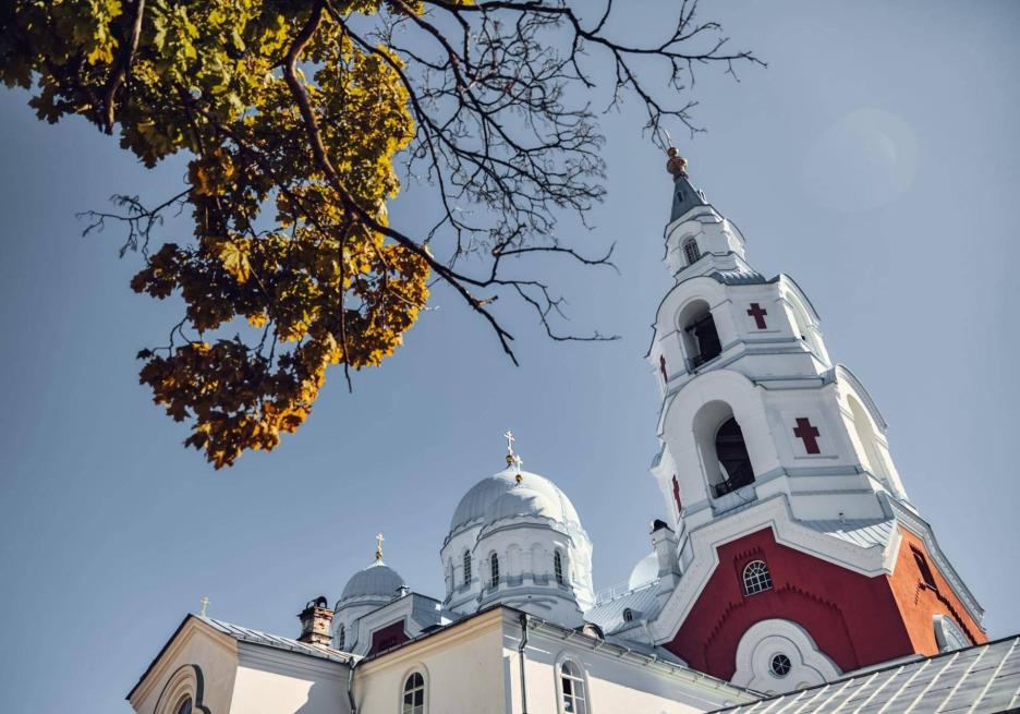 фото img_692db8d65a314.jpg