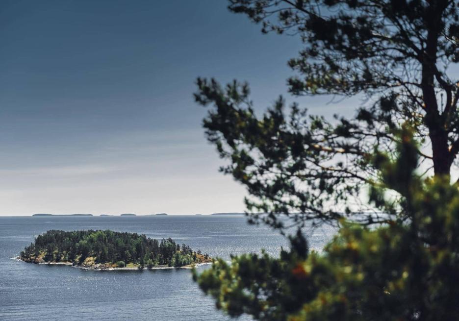 фото img_692db8dcc255c.jpg