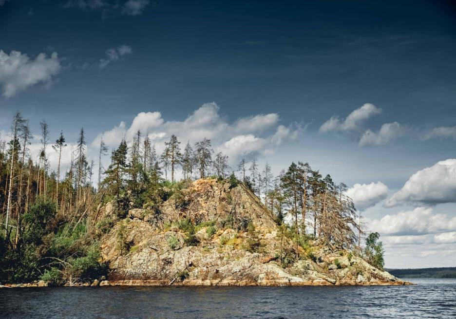 фото img_692db988974cf.jpg