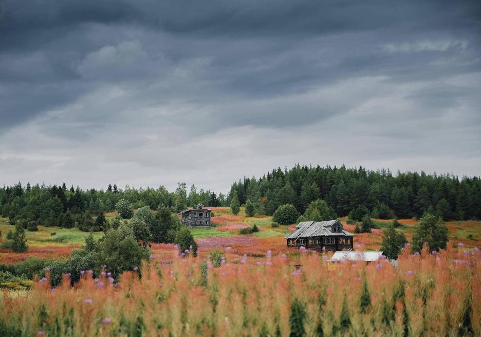 фото img_692db98b2c8ce.jpg