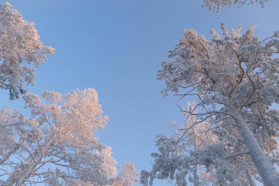 фото img_692eec5abb065.jpg