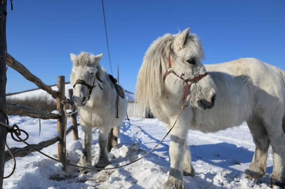 фото img_692eec9ad809c.jpg